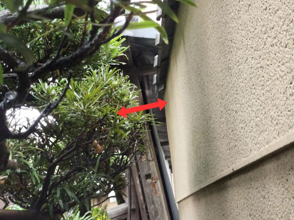 庭木が支え、倒れる寸前で踏みとどまった塀