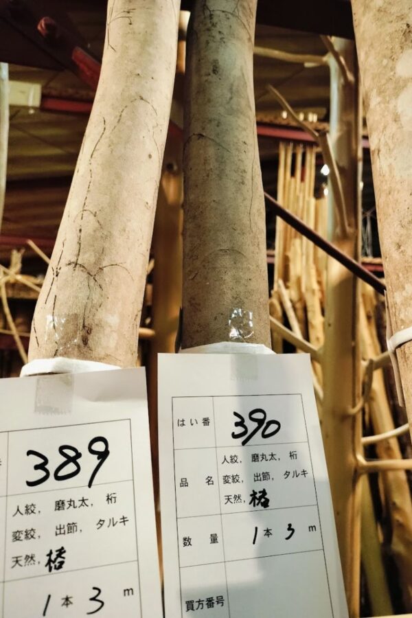 椿